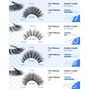 BEYELIAN Fake Eyelashes Strip 20 Pairs Fluffy Cat Eye Lashes