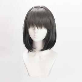 Heat Resistant Cosplay Wig, Second Castle, Oberon Oberon Party, Disguise, Cosplay Wig + 3 Bonus Pieces, Exclusive Net, Hairpin and Memo Pad Included