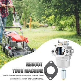 QAZAKY Carburetor Compatible with Briggs Stratton 591731 593514 594593 642592 653202 695547 697014 697141 697190 698445 698620 699109 699937 790418 791858 791888 792171 792358 794572 793224 799727