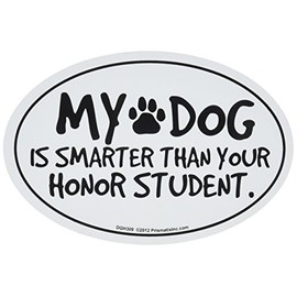 Prismatix Decal Cat and Dog Magnets, My Dog is Smarter Than Honor Student