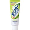 Lion Dender Clear MAX Natural Mint Vertical Type, 4.9 oz