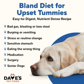 Dave's Pet Food Bland Diet Dog Food (Chicken & Rice), Sensitive Stomach, Easy to Digest, Gluten-Free, Digestive Care, Wet Canned, 13.2 oz (Case of 12)