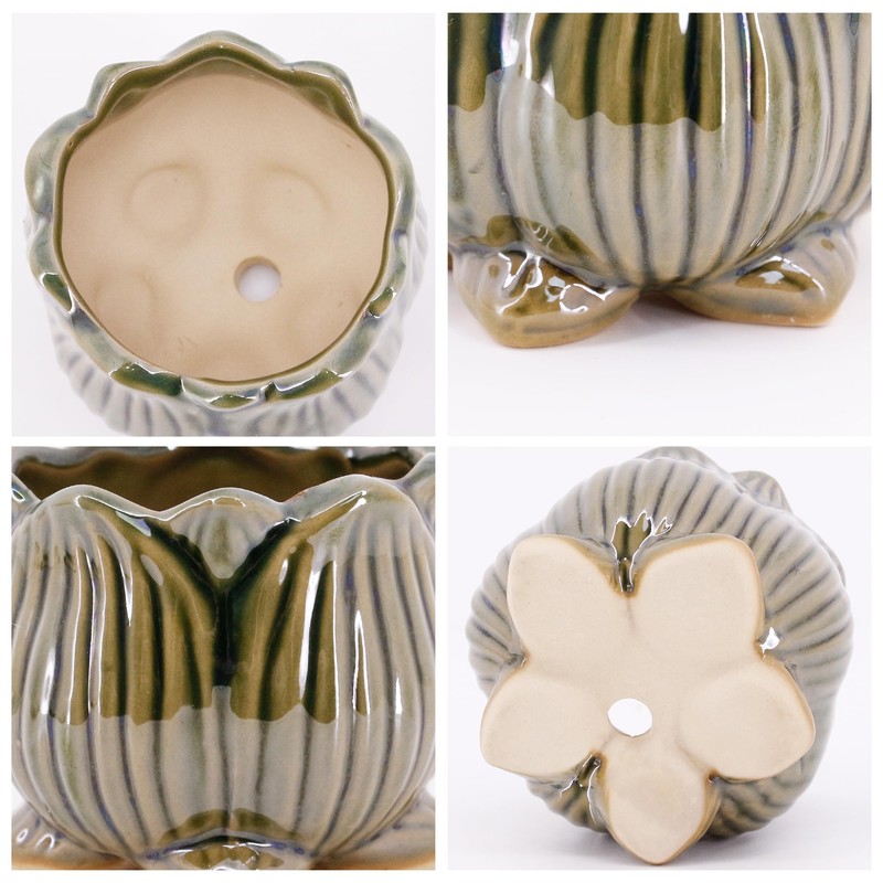 Segreto Creative Succulent Plant Pots Ceramic Planter