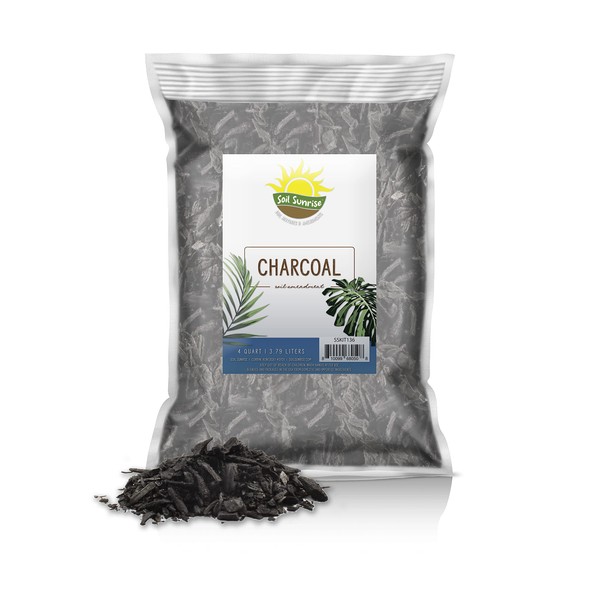 Horticultural Charcoal for Indoor Plants (4 Quarts), Hardwood Soil Amendment for Orchids, Terrariums, and Gardening