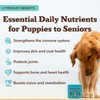 Natural Dog Company 25 in 1 Multivitamin for Dogs –