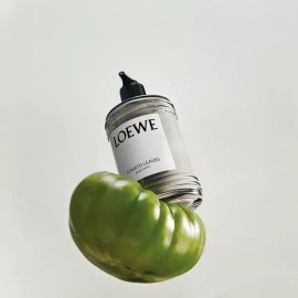 Loewe [로에베 퍼퓸](강남점)토마토 리프 바디 로션 360ML Loewe Perfum (Gangnam Branch) Tomato Leaf Body Lotion 360ML