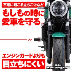 Daytona Private cars engine protector [XJR400 / R (all year)] 79 929