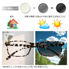 Dollger Dimming Sunglasses, Blue Light Cut Glasses, UV Protection, Glasses, No Degree, UV Reduction Glasses, Lightweight, Date Glasses, Men's, Women's, Unisex, Tortoiseshell, M