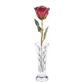 Forever Rose Hand-Dipped in 24K Gold, Ruby Red-Inspired July Birthstone with Sparkles, Real Rose in Luxury Gold Gift Box & Clear Glass Bud Vase –Perfect Ready to Gift for July Birthday or Any Occasion