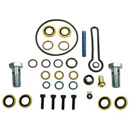DTPD Fuel Pressure Blue Spring Banjo Bolts Kit for 03-07 6.0L Powerstroke