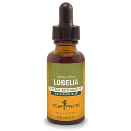 Herb Pharm Certified Organic Lobelia Liquid Extract for Musculoskeletal System Support - 1 Ounce (DLOBEL01)