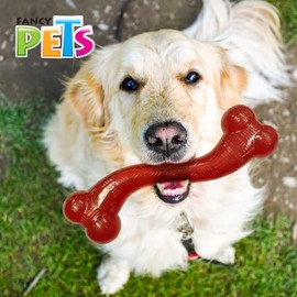 Fancy Pets Juguete Hueso Largo Xtreme para Perros 30 cm Extra Grande en Goma TPR Resistente                                                           