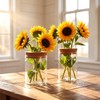 6Pcs Glass Plant Propagation Stations, Desktop Flower Vases, 3 Size