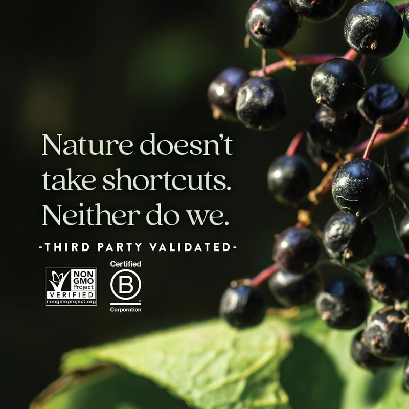 New Chapter Elderberry Kids Syrup, Advanced Immune Defense for Ages