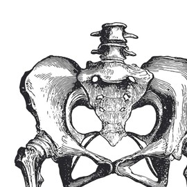 Nacnic Set of 3 Anatomy Posters. Vintage style wall decoration of pelvis, skeleton and hands. Assorted black and white pictures of human anatomy and body parts. Size A3.