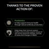 PRO PLAN Cat Natural Defences Supplement | Immune health support,