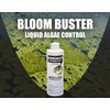 Bloom Buster Algae Control for Fish Ponds & Water Gardens