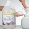 Ginger Lily Farms Botanicals All-Purpose Foaming Hand Soap Refill, Fragrance