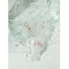 Water parsley soothing gel serum duo 30ml x 2ea /