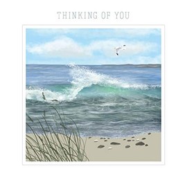 Thinking Of You - Seagull at High Tide Blank Greeting Card with Envelope