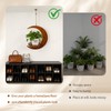 Moon - Shaped Wooden Hanging Plant Stand, Nordic Modern Window
