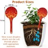 Self Watering Globes for Plant, Large Glass Outdoor Plant Watering