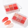 LUNA Melting Formula Lip Palette - LUNA Melting Formula Lip