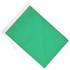 AZ FLAG Race officer green Flag 18'' x 12'' cords