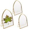 JUXYES 4x6 Inch Tabletop Double Glass Frame for Pressed Flowers,