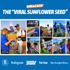 SMACKIN' - Jumbo Roasted Sunflower Seeds, No Salty Burn, American