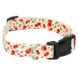 Bubblepup - Collar para perro, diseño de flores, para niñas, pequeñas, medianas, grandes