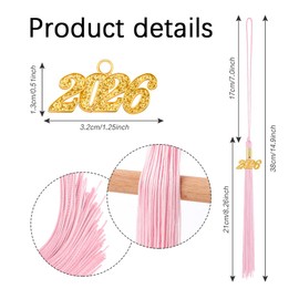 2026 Graduation Tassel Pink 2026 Graduation Hat Tassels Graduation Tassel 2026 Tassel Charm 2026 Decorations Graduate Ornament Hat Tassels Cap Class of 2026