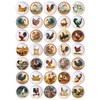 SET OF 35 KNOBS - Chickens Hens Roosters Chicks -