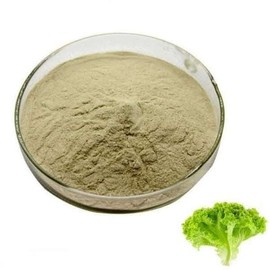 상추추출분말 100g Lettuce Extract Powder 100g