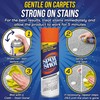 NYCPI & GA Towel and Brush along with Carpet Stain