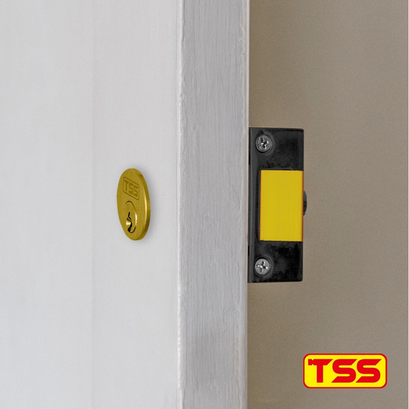 TSS Replacement Locking Rim Cylinder Lock, Supplied with 3 Keys.
