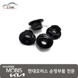 Hyundai Mobis Flange nut 19MM 62618 2F010 / 플랜지 너트 19MM 62618 2F010