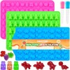 Gummy Candy Molds with 2pcs Droppers, Silicone Bear Dinosaur Fruit