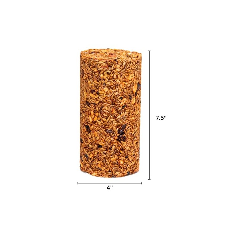 JCs Wildlife Squirrel Stopper Bugs Nuts & Berries Small Cylinder