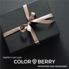 COLORBERRY Pigmentpaste - Ultra Highly pigmented Resin Art Paste for