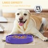 WHIPPY Slow Feeder Dog Bowls Anti-Choking Maze Dog Food Bowl