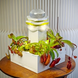LeGrow Nepenthes Terrarium System – Pitcher Plant Planter with LED Grow Light & Humidifier, Self-Watering Indoor Carnivorous Plants Setup – No Live Plant, Beginner Friendly