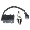Coil Ignition With Spark Plug BM6A For Echo Blower ES-255