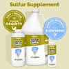 Sulfur Fertilizer for Plants, Micronutrient Sulfur for Boosted Growth and