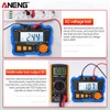 Insulation Resistance Tester 100V/ 250V/ 500V/ 1000V Resistance Tester with