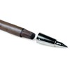 Alpenstock Tip Hiking Pole Tip 14 - 17 mm