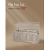 DINZI LVJ Storage Chest, 47.2”Wooden Storage Box with 2 Safety
