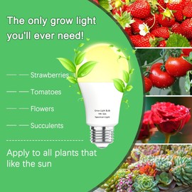 Wiyifada 6 Pack Full Spectrum Grow Light Bulbs,A19 Grow Lights for Indoor Plants,Dimmable E26 9W Grow Bulb Replace up to 100W,Plant Lights for Indoor Growing,Flowers,Greenhouse,Indore
