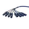 Fupiomeef 3.28ft DB25 to XLR Snake Cable, DB25 Male to