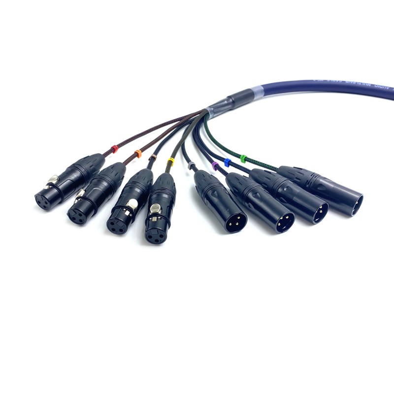 Fupiomeef 3.28ft DB25 to XLR Snake Cable, DB25 Male to